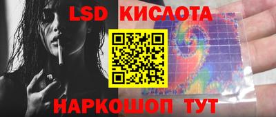 гашик Дубна